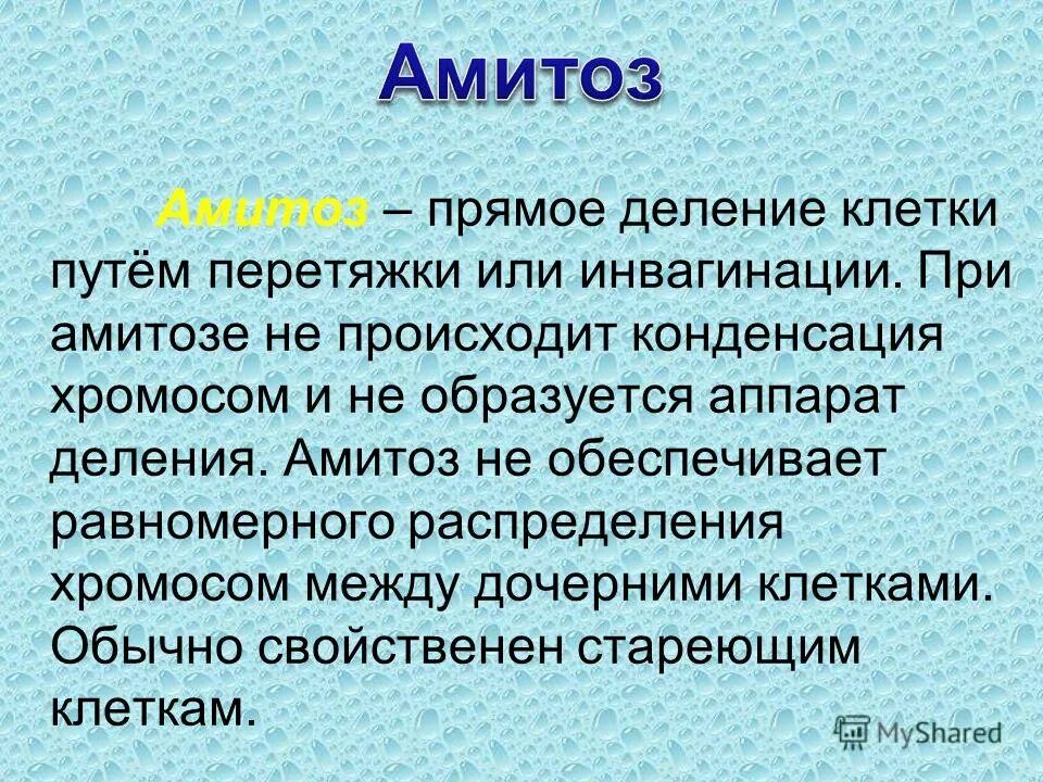 Способы деления клеток амитоз. Деление клетки митоз амитоз кратко. Амитоз прямое деление клетки. Амитоз кратко. Роль амитоза.