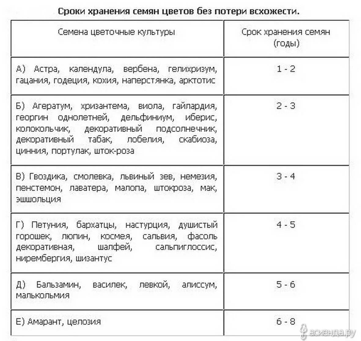 Какую температуру выдерживают семена. Срок годности семян цветов таблица. Сроки годности семян овощных культур таблица. Сроки всхожести семян таблица. Сроки годности цветочных семян.