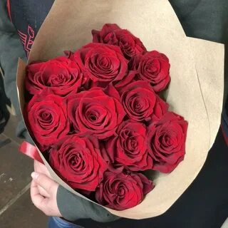 Rose premium