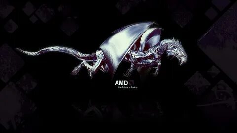 Amd dragon