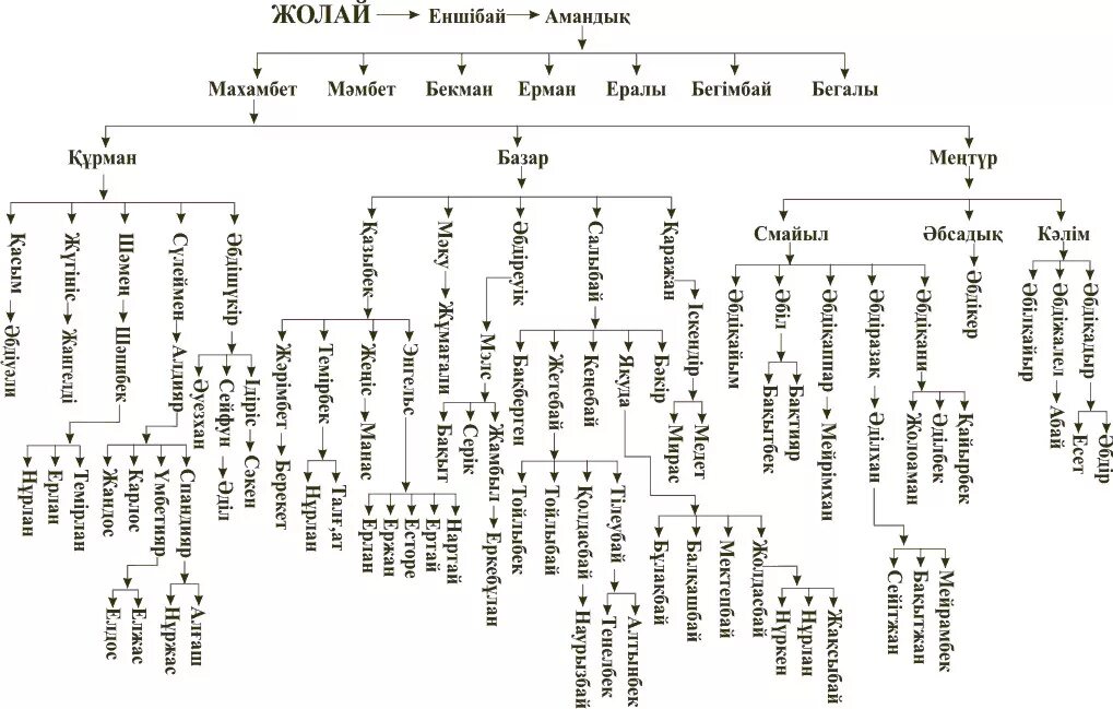 Родословная схема казахского рода Ногай. Родословная схема рода Ногай. Генеалогическое Древо казахов младшего жуза. Казахские жузы Древо. Кіші жүз ханы