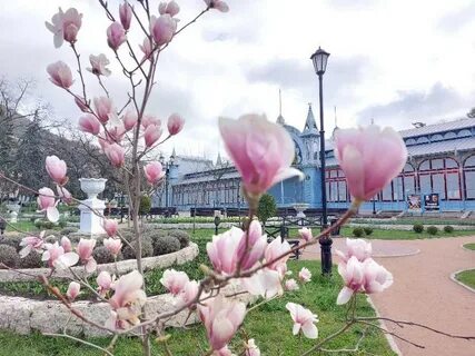 Погода в пятигорске в апреле 2024 года