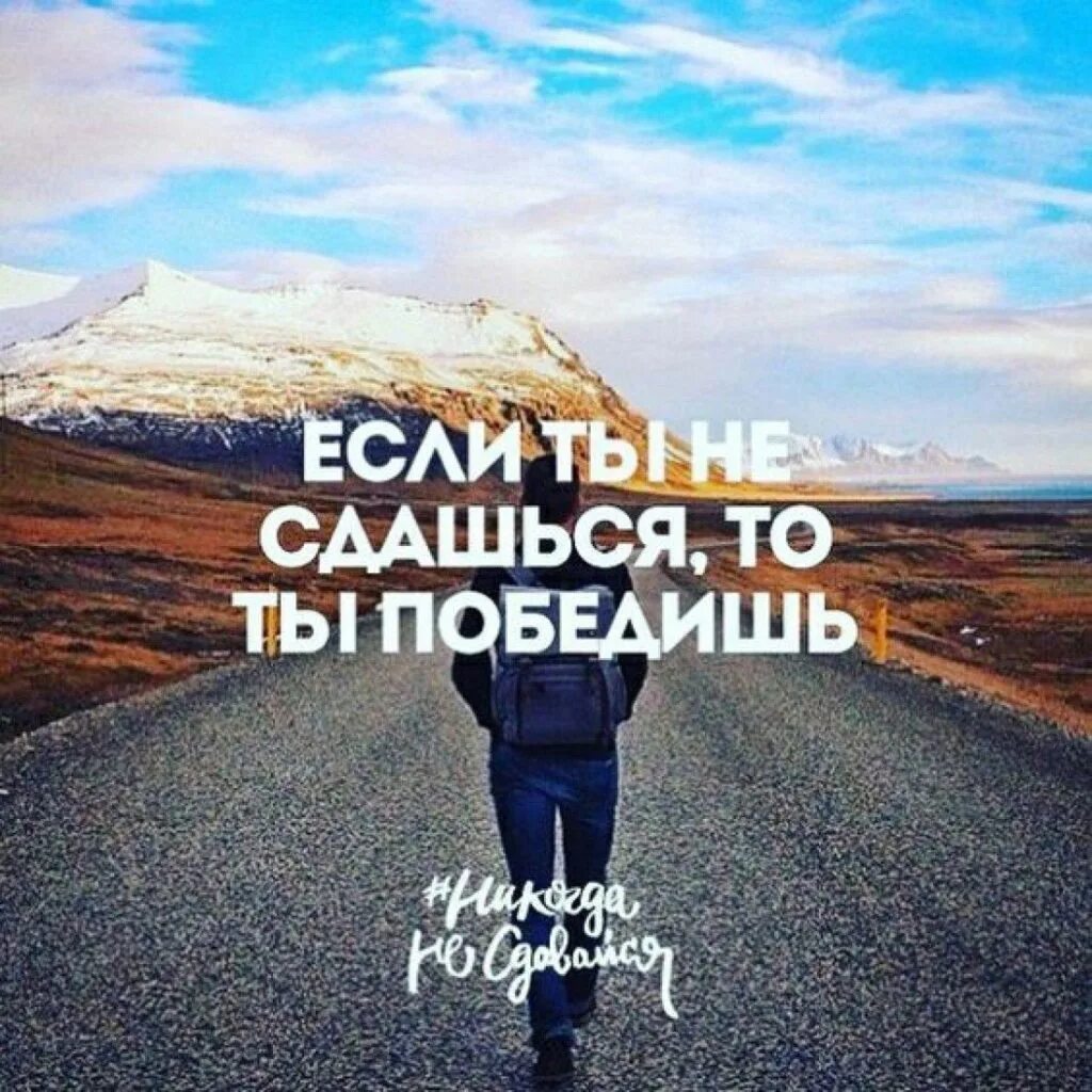 Собирается сдаваться. Собирается сдаваться