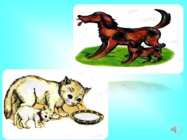 Қатты анальный фистинг порно видео