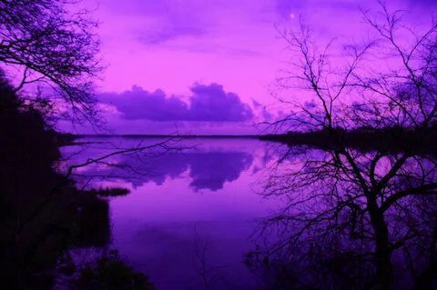 Красивые фиолетовые обои - фото и картинки: 70 штук