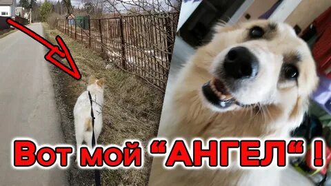 Приехали к насте