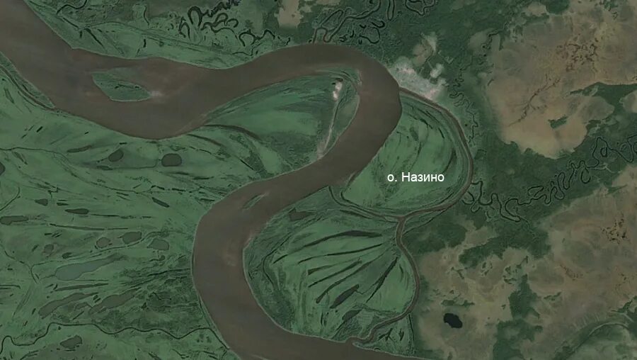 Назино. Назино. Село назино александровский район томская область. Назино. Обь остров назино.