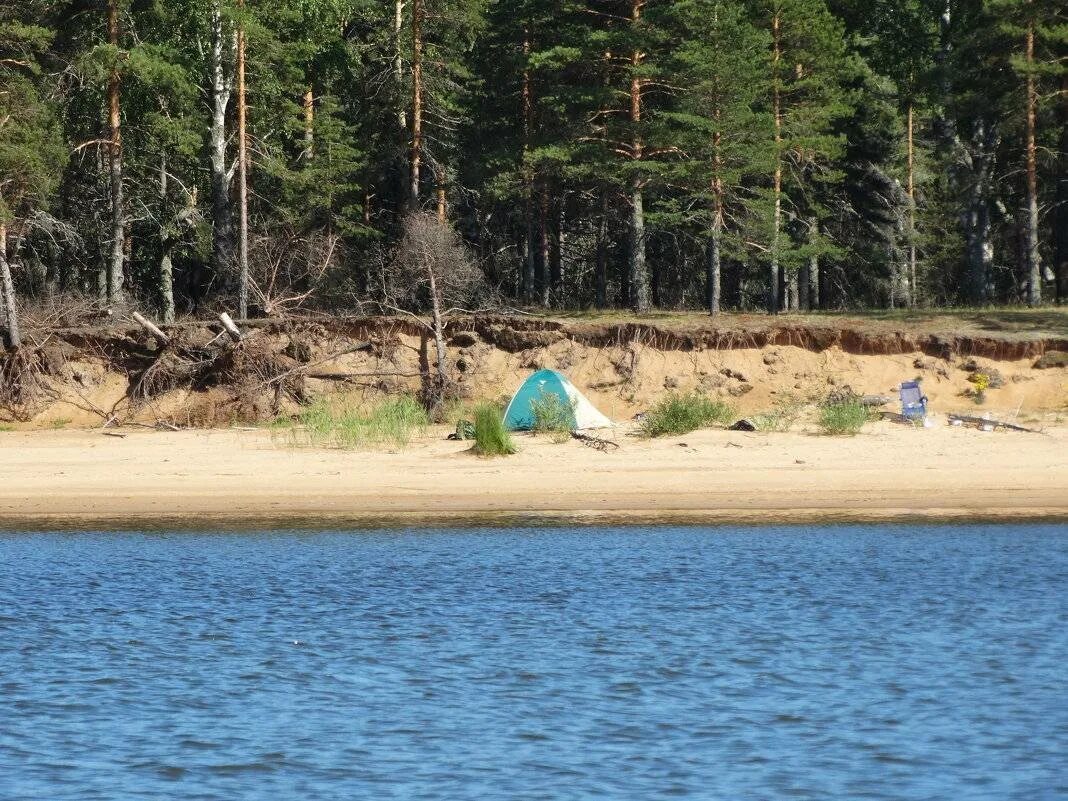 Рыбинское водохранилище кемпинг с палатками. Ларионово рыбинское водохранилище. весьегонск рыбинское водохранилище. рыбинск водохранилище пляж. рыбинское водохранилище пляж.