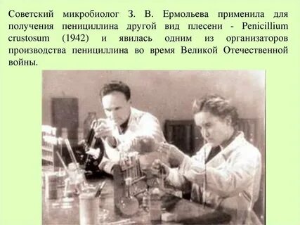 Отечественный ученый гаузе провел ряд экспериментов