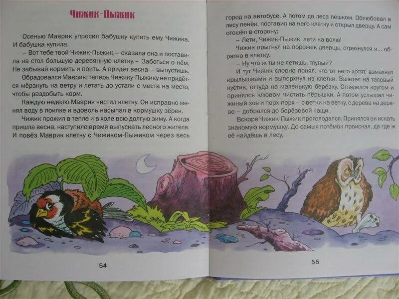 Рисунок к рассказу про нос и язык. Про белочку и тамарочку книга. Большие рассказы. Рассказ я большой. Рассказ е пермяк про нос и язык.