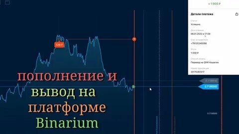 Бинариум вывод
