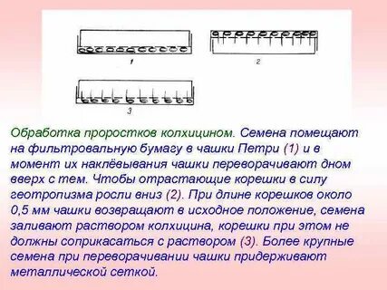 Обработка колхицином метод