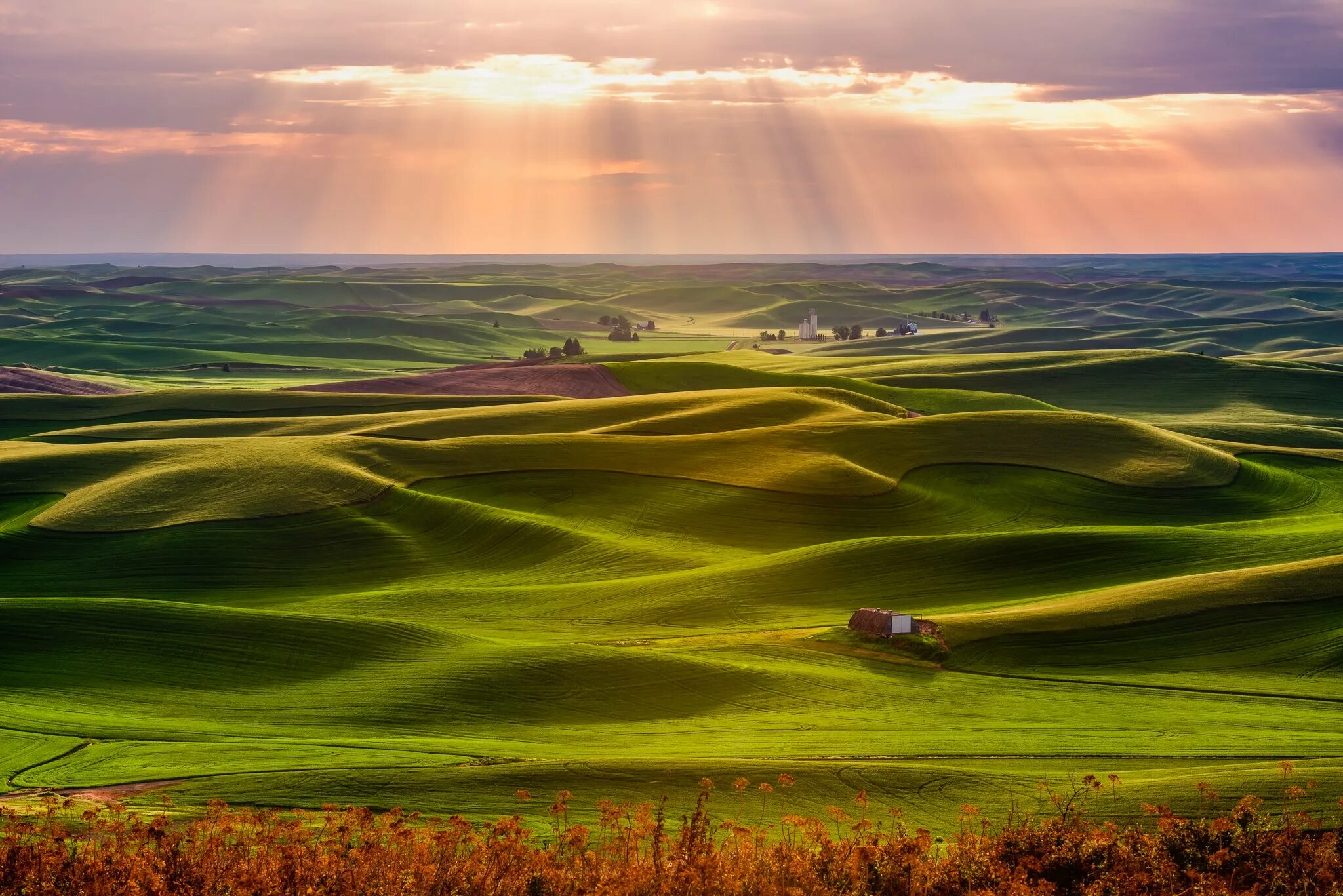 Rolling hills. Тоскана природа. Прекрасная Страна. Цвет тосканской земли.