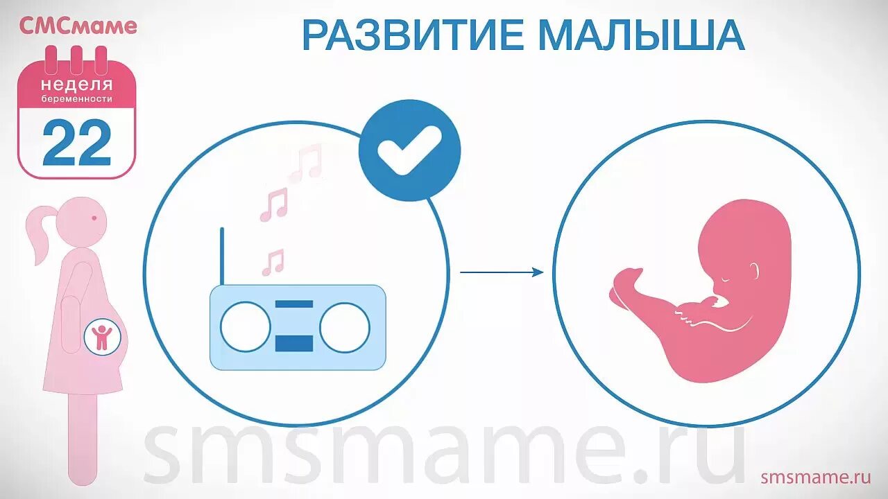 Беременность 22. 22 Неделя беременности триместр. Питание на 22 неделе беременности. Развитие ребёнка на 22 неделе беременности. 22 недели что происходит с малышом