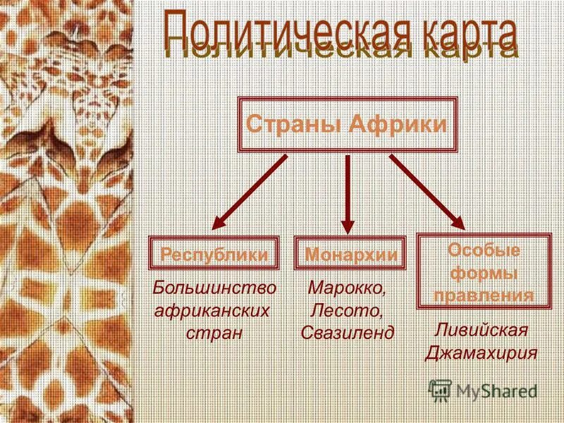 формы правления стран азии. три государства монархии в африке. в каких странах абсолютная монархия. формы правления стран африки. формы правления в африке карта.