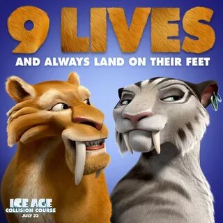 Land on their foot