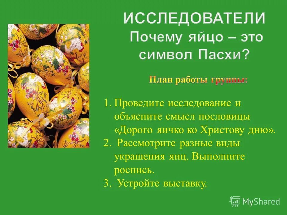 Какие функции выполняет яйцо