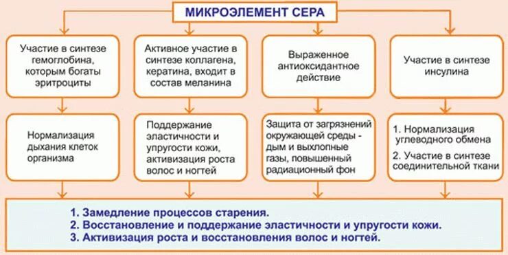 Польза серы для человека. Роль серы в организме. Сера функции в организме человека. Сера роль в организме человека. Функции серы в организме.