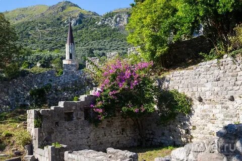 Бар черногория достопримечательности