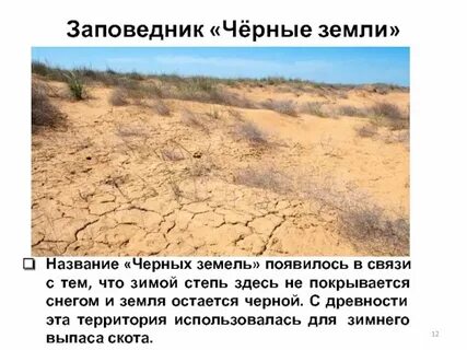 Названия заповедников расположенных в пустыне