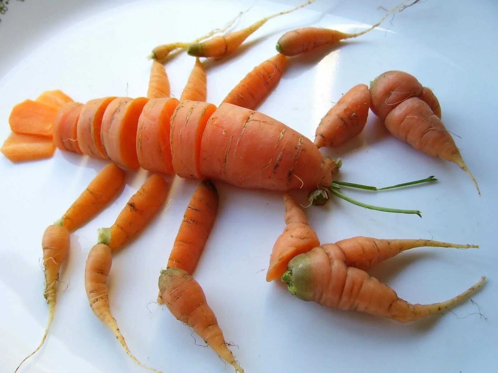 Поделка морковка. Омар из морковки. Лобстер из моркови. Поделки из моркови. Смешные варианты