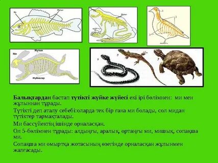 Қолданылған стриптизер аяқ киім