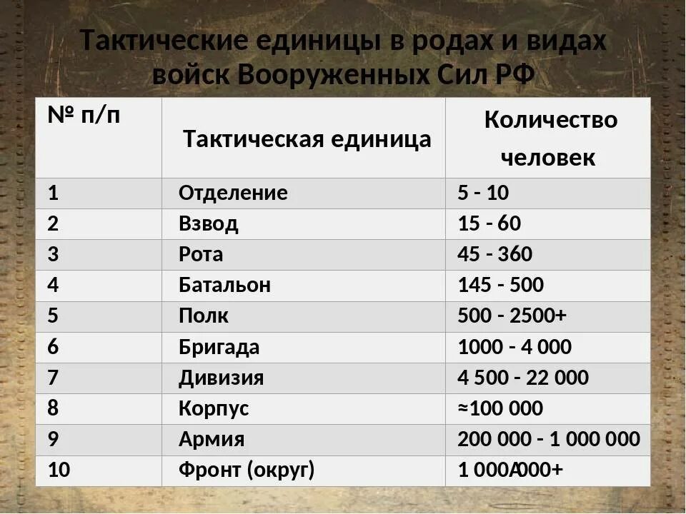 Сколько человек в видном. Взвод рота батальон полк дивизия бригада численность таблица. Рота бригада батальон полк дивизия численность таблица. Батальон бригада полк дивизия. Бат рота взвод отделение.