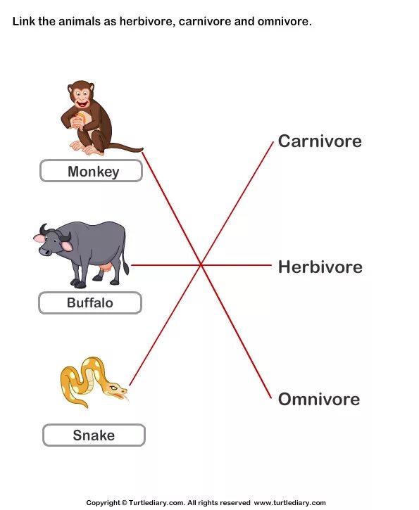 Carnivore перевод. Herbivore Carnivore Omnivore. Herbivore Carnivore Omnivore Worksheet. Herbivores Carnivores and Omnivores.