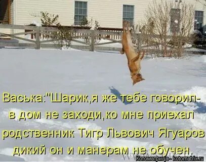 Годы он приезжает в родную