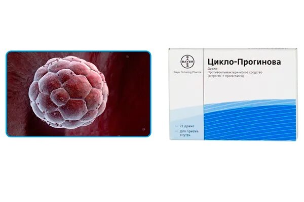 Прогинова при эко. Прогинова после. Прогинова после переноса эмбрионов. Цикло прогинова при планировании беременности. Прогинова после переноса