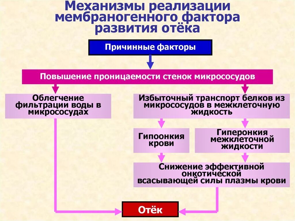 Причины появления отеков. Общие механизмы развития отеков. Механизмы развития клеточного отека. Механизмы образования воспалительного отека. Механизмы образования отеков схема.