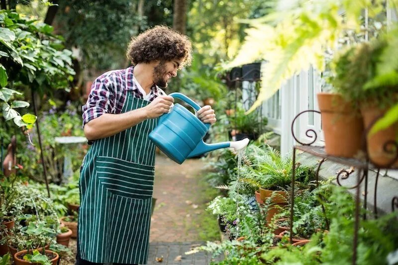 We were watering the plants. Садовник с лейкой. Мужчина поливает цветы. Мужчина с лейкой. Садовник поливает цветы.