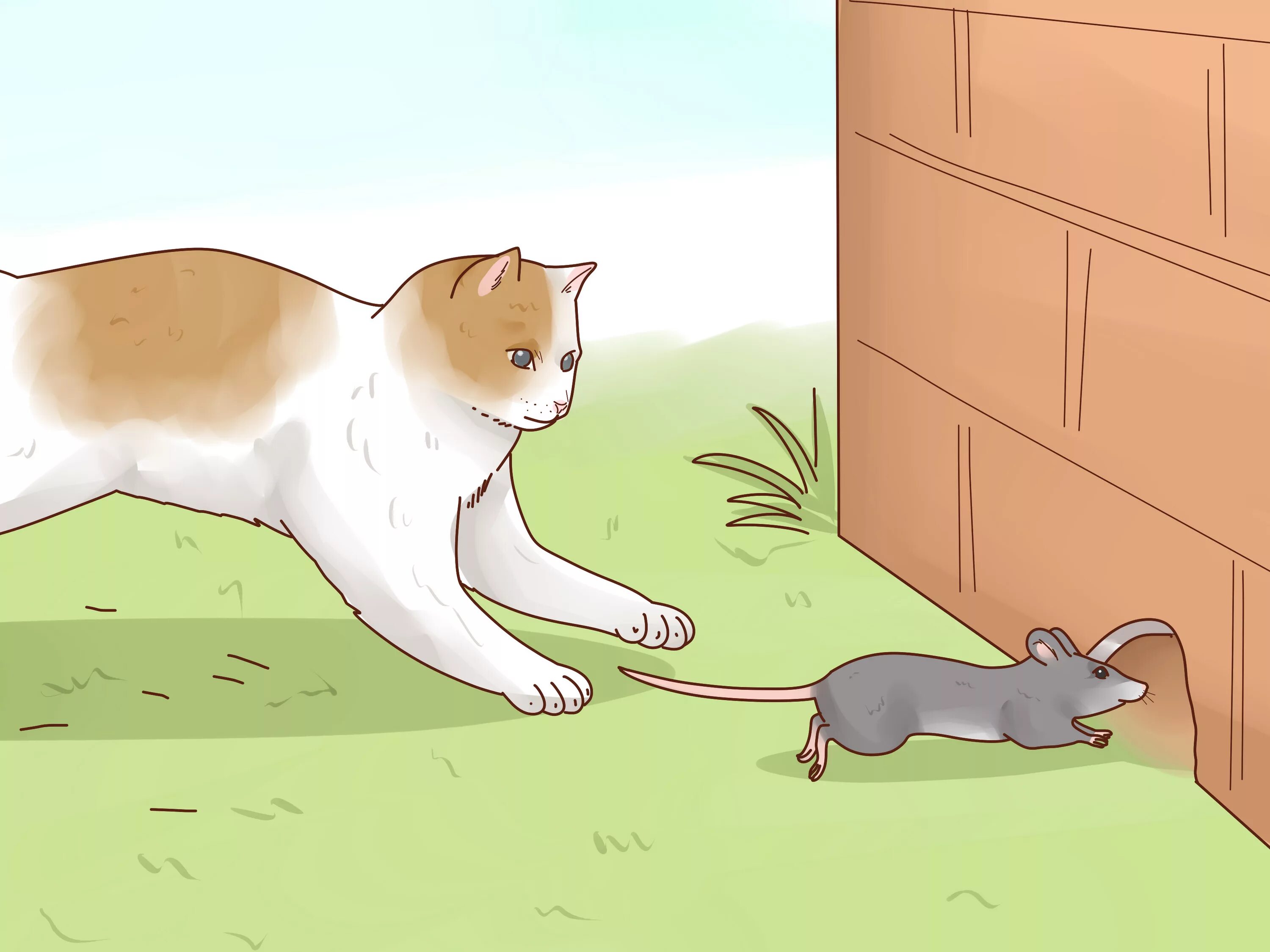 Can you turn cat into pet