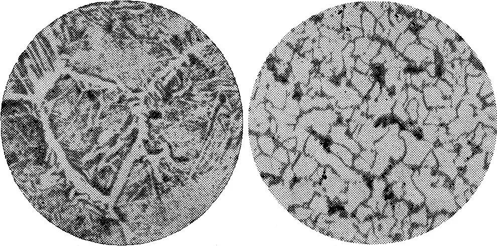 Микро структура