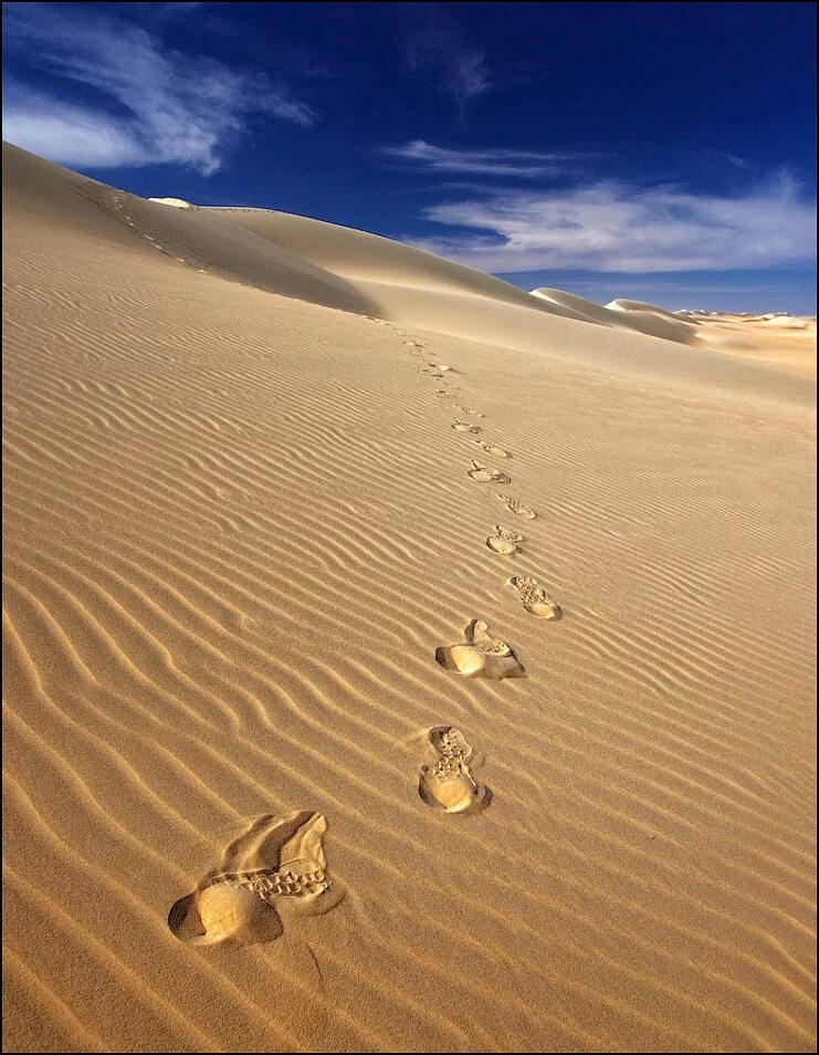 Маленькая песчинка. Пустыня песок. Пустынный песок. Следы на песке. Следы в пустыне.