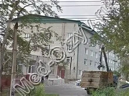 Черепаново 14