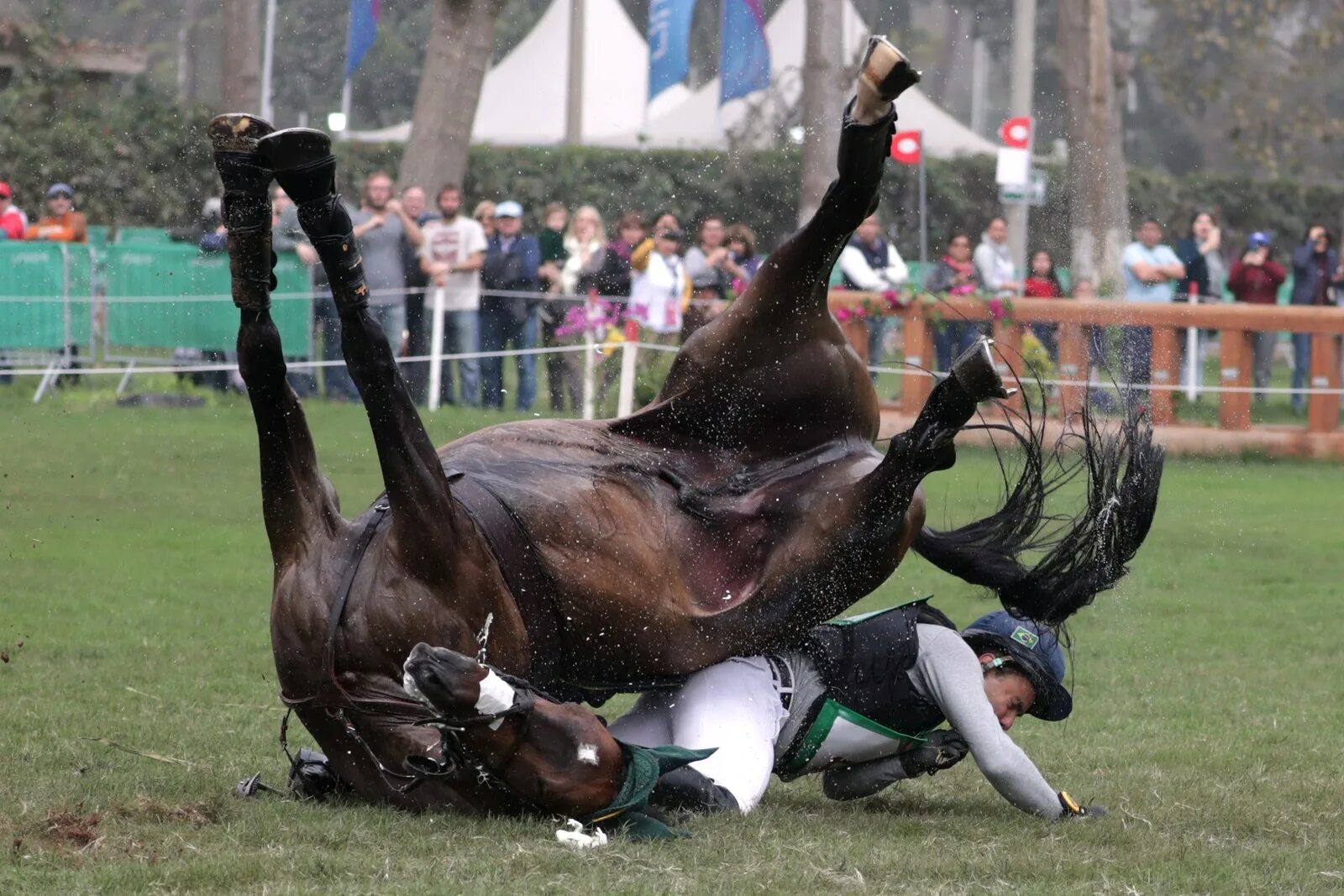Включилась коня. Человек падает с лошади. Падение с лошади. Конный спорт падения.