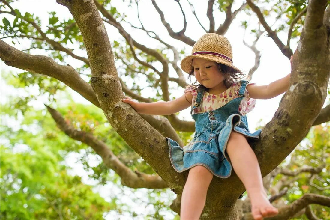 Children like to take. Апскиртинг детский. Climb a Tree. Childlike Childish. Girl Climbing Tree.