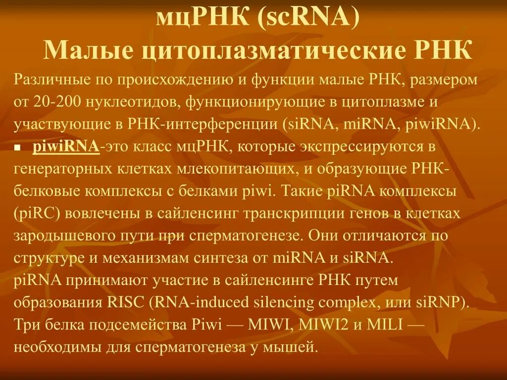 Малые цитоплазматические РНК. Малая цитоплазматическая РНК. Малые цитоплазматические РНК (МЦРНК). Малая интерферирующая РНК функция.