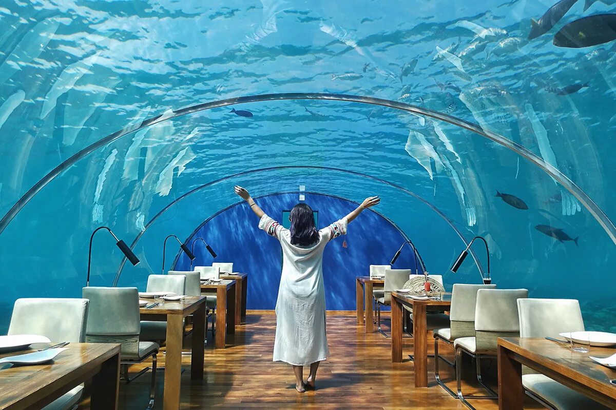 Conrad Maldives Rangali Island 5 отель под водой. Отель Poseidon Undersea Resort Фиджи. Подводный ресторан в Дубае. Гостиница под водой в Дубае. Куплю воду дубай