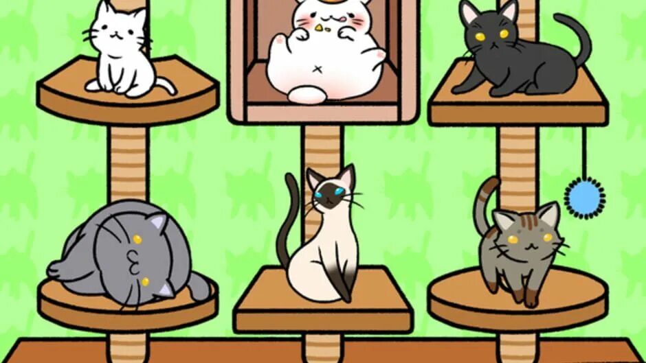 Какую нибудь игру котик