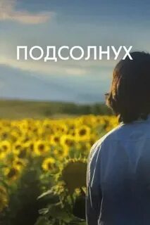 Подсолнух 2023