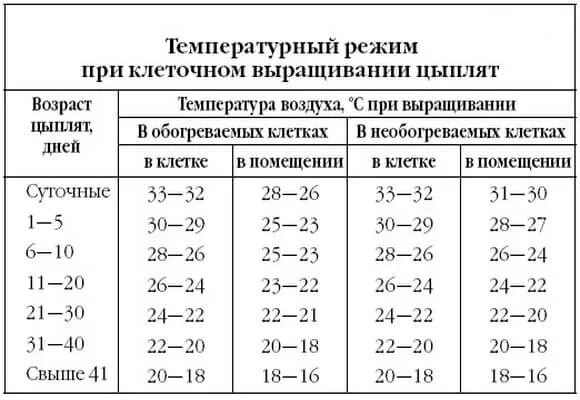 Температурный режим выращивания цыплят. Тепловой режим для цыплят несушек. Тепловой режим для цыплят несушек таблица. Температурный режим для цыплят несушек. Температура тела кур