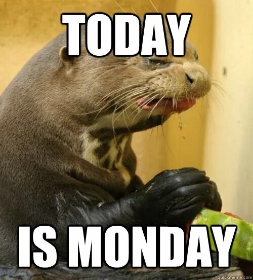 Monday morning meme. Within monday to friday. Monday is. Картинки beautiful monday. Pappa's washing day.