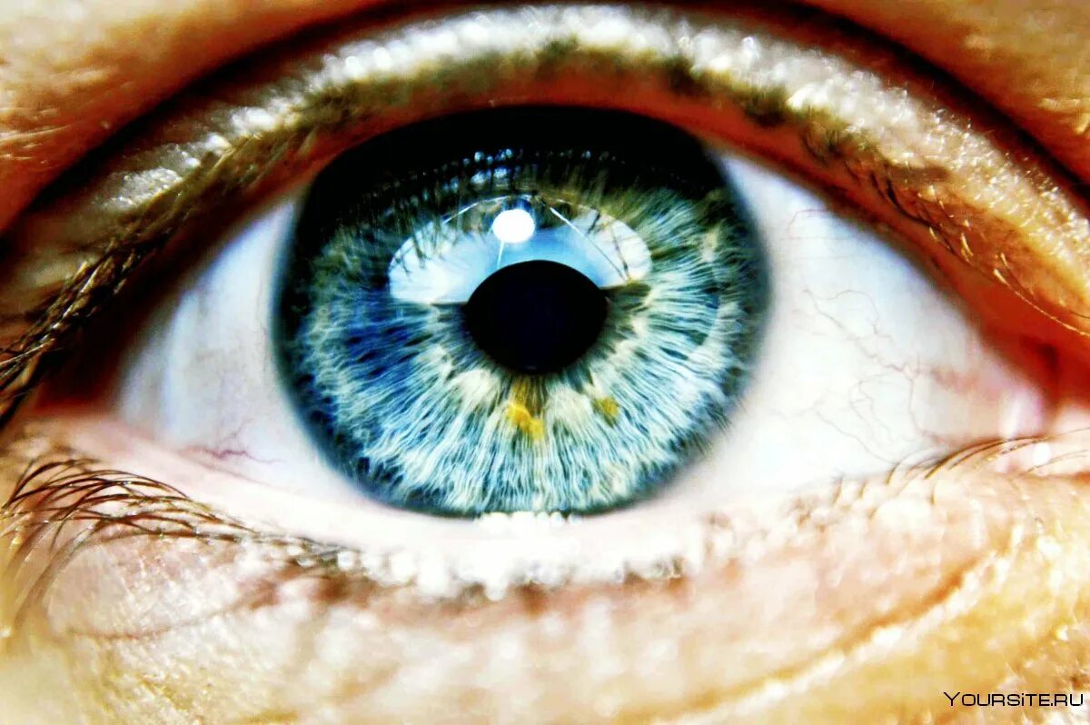 Здоровые глазки. Глаз человека. Здоровые глаза. Здоровый глаз человека. Зрачок глаза человека.