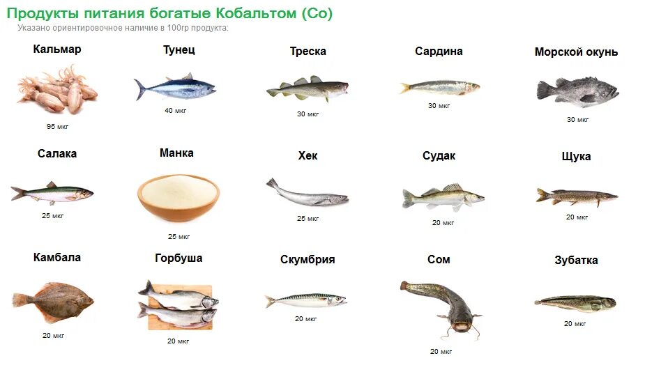 Содержание меди в продуктах. Кобальт источники в пище. Продукты богатые кобальтом таблица. Источники кобальта в продуктах питания. Продукты богатые кобальтом.