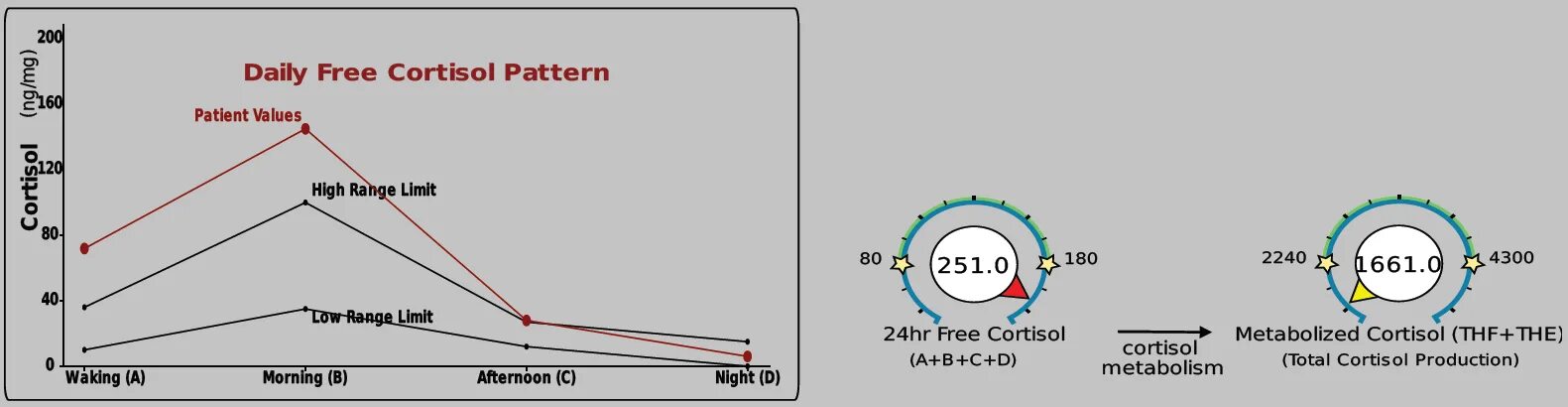 Daily limits. Low range. Ml Low range. Limit range. Normal cortisol Levels.