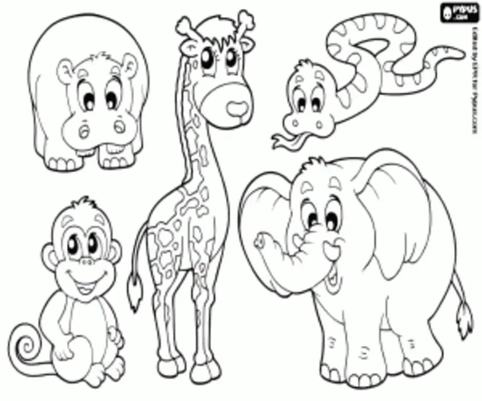 Животные африки раскраски для детей распечатать African Elephant coloring Free Animal coloring pages sheets African Elephant E