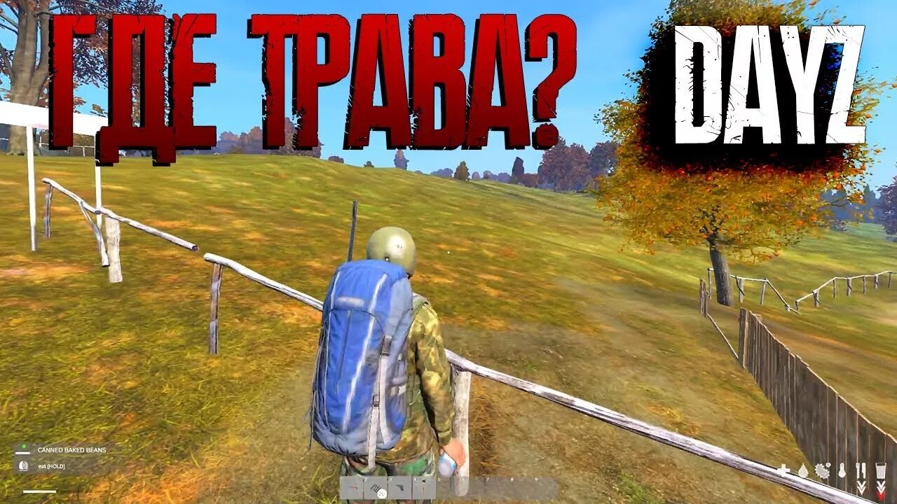 Деревня бережки в дейз. Dayz standalone livonia. Дейз трава. Арма 2 dayz. Дейз трава.