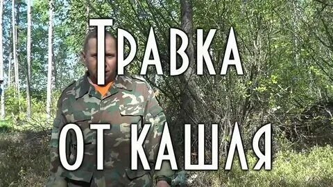 Дядя толя тайга